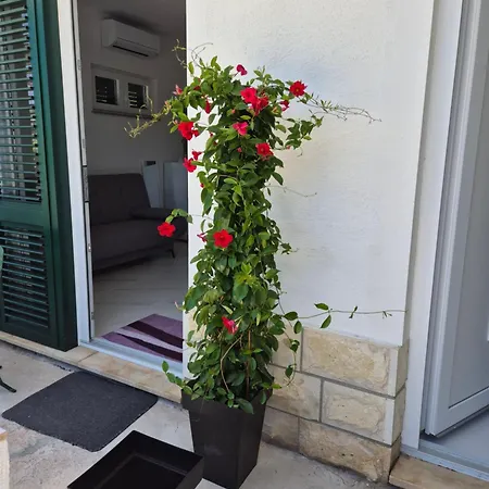 Apartamento Bauer - Omis- Nemira Omiš