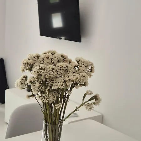 Bauer - Omis- Nemira Apartamento